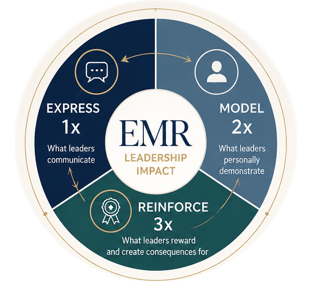 IMA EMR leadership model illustrating reinforcement for transformational change implementation management.